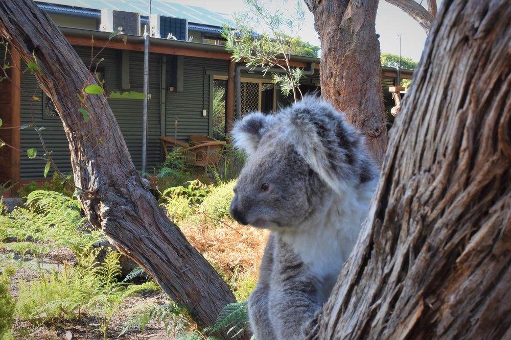 Kangaroo Island Wilderness Retreat Flinders Chase Exterior photo