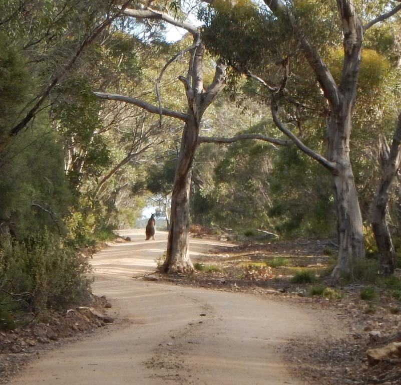 Kangaroo Island Wilderness Retreat Flinders Chase Exterior photo