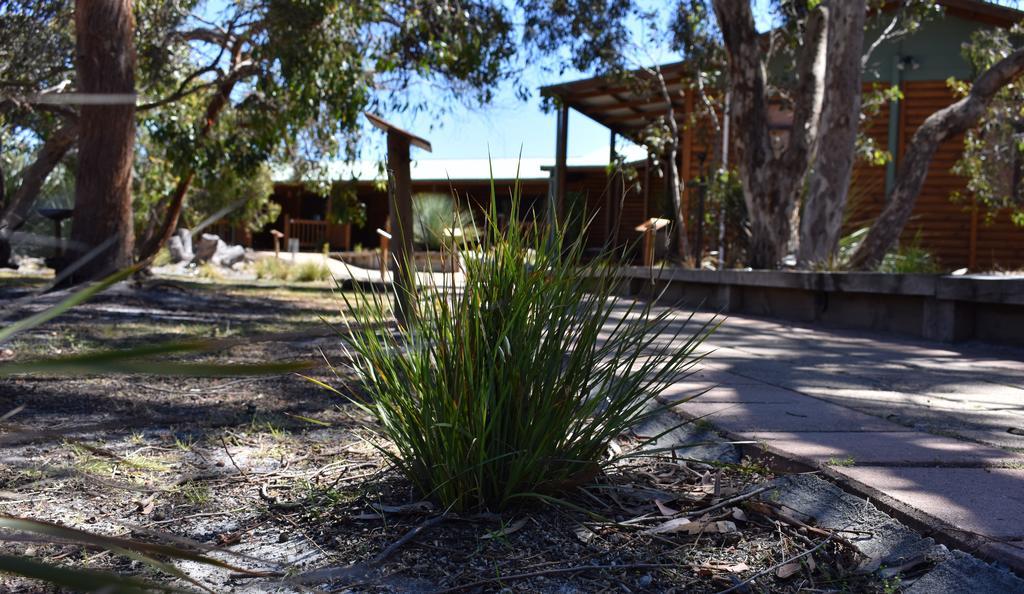 Kangaroo Island Wilderness Retreat Flinders Chase Exterior photo