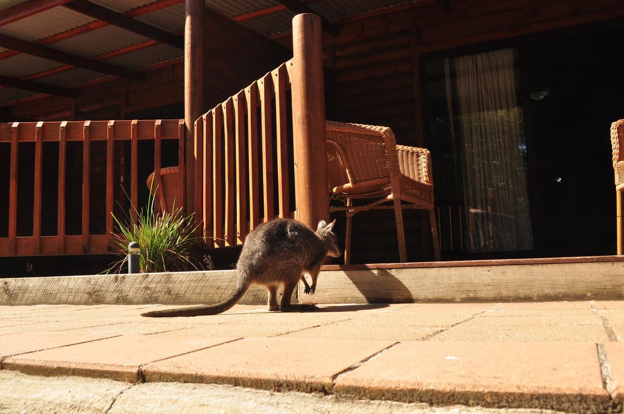 Kangaroo Island Wilderness Retreat Flinders Chase Exterior photo