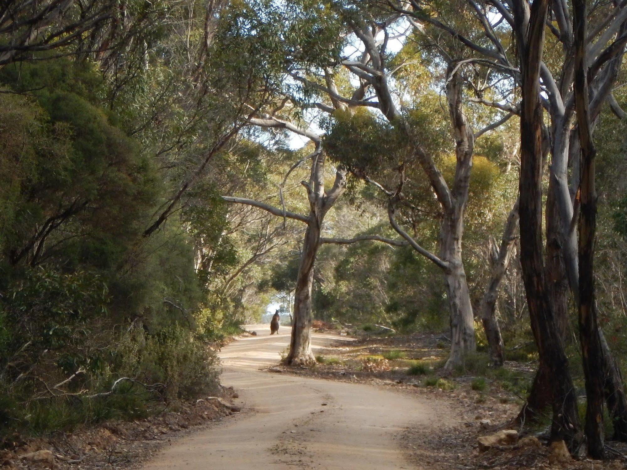 Kangaroo Island Wilderness Retreat Flinders Chase Exterior photo